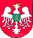 Ikona