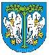 Ikona