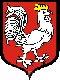 Ikona
