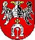 Ikona