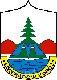 Ikona