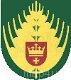Ikona