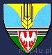 Ikona