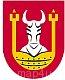 Ikona