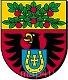 Ikona