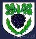 Ikona