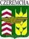 Ikona
