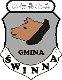Ikona