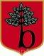 Ikona