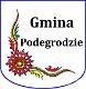 Ikona