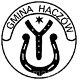 Ikona