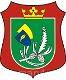 Ikona