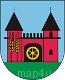 Ikona