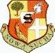 Ikona