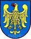 Ikona