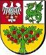 Ikona