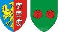 Ikona