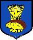 Ikona