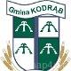 Ikona