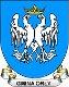 Ikona
