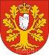 Ikona
