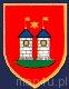 Ikona