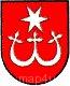 Ikona