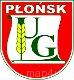 Ikona