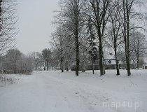 Miłonice. Zespół dworsko-parkowy. Park dworski. (fot. Tomasz Szwagrzak)
