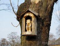 Opoczno. Zesp&oacute;ł dworsko-parkowy „Starostwo”, ul. Parkowa / Kolberga, XVII-XIX w. Park (fot. Piotr Solle)