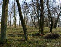 Zameczek. Dawny zesp&oacute;ł dworsko-parkowy. Park podworski (fot. Piotr Solle)
