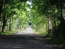 Sulejów. Droga gruntowa łącząca Sulejów z Zarzęcinem w Sulejowskim Parku Krajobrazowym. (fot. Paulina Gajzler)