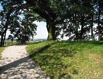 Sokola Góra. Zespół dworski. Park, pocz. XIX w. (fot. Tomasz Szwagrzak)