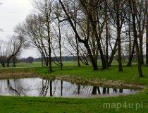 Sekursko. Zespół dworsko-parkowy. Park, k. XIX w. (fot. Piotr Solle)