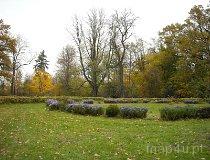 Starce. Park dworski, XIX w. (fot. Katarzyna Gębicka)