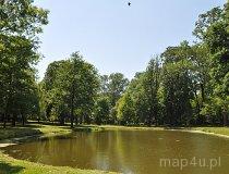 Rzeczyca. Park (fot. Tomasz Mazurek)