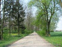 Garbów. Zespól dworsko-parkowy. Aleja dojazdowa (fot. Tomasz Szwagrzak)