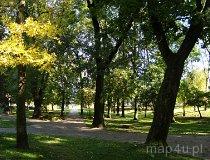 Wieluń. Park miejski. (fot. Marta Pabich)