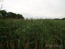 Bagniska-Doły. Stawy na szlaku rowerowym EWI2 (fot. Marta Pabich-Makoska)