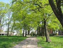 Dzietrzkowice. Zespół dworsko-parkowy Rappardów-Nieszkowskich. Park dworski (fot. Tomasz Szwagrzak)