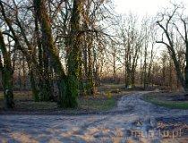 Przat&oacute;w G&oacute;rny. Park podworski (fot. Tomasz Szwagrzak)