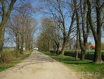 Dąbrowa-Leszczyny. Zesp&oacute;ł dworsko-parkowy, po 1930 r. Park (fot. Marek Krym)