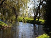 park Miejaski w Łęczycy (fot. Łukasz Wandachowicz)