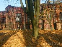 Łódź. Zachodnia elewacja rezydencji Henryka Grohmana przy ul. Tymienieckiego 22/24 (fot. Witold A. Kopeć)