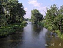 Przedb&oacute;rz. Rzeka Pilica. Widok z mostu (fot. Tomasz Szwagrzak)