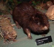 Granica. Ośrodek Dydaktyczno–Muzealny Kampinoskiego Parku Narodowego (fot. Marek i Ewa Wojciechowscy)