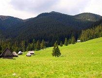Tatrzański Park Narodowy. Dolina Chochołowska (fot. Marek i Ewa Wojciechowscy)