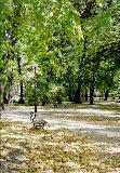 Ł&oacute;dź. Park im. Władysława Reymonta z poł. XIX w. (fot. Marta Pabich-Makoska)
