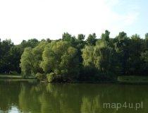 Łódź. Staw w parku im. J. Piłsudskiego (Na Zdrowiu) (fot. Marta Pabich-Makoska)