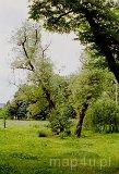 Łódź. Park Źródliska II z poł. XIX w. (fot. Marta Pabich-Makoska)
